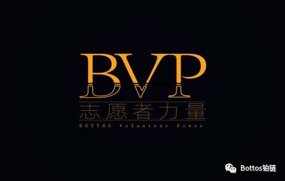 铂链超级节点竞选点赞榜——BVP铂链志愿者力量团队