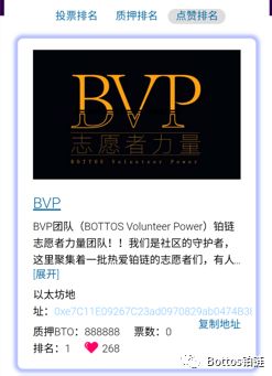 铂链超级节点竞选点赞榜——BVP铂链志愿者力量团队