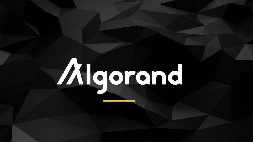 Algorand 荷式拍卖的美妙、神奇和狡黠之处