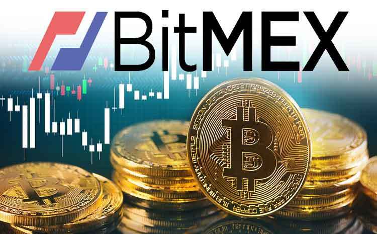 BitMEX 发布过去一年杠杆使用数据：大仓位交易者使用小杠杆