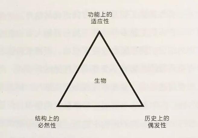 理解凯文·凯利，理解科技想要什么，重新理解区块链