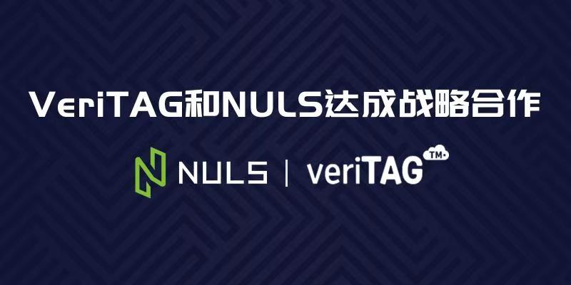 新加坡科技企业维律德(VeriTAG)与NULS在智博会上签署战略合作协议，达成战略合作