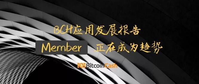 BCH应用发展报告——Member正在成为趋势