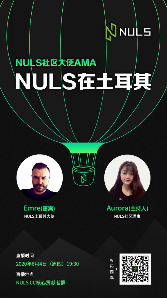 NULS项目6月上半月进度简报