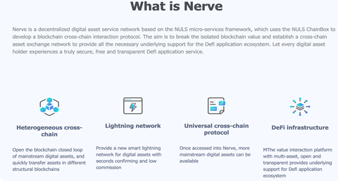 CoinVoice 韭菜十问 | 誉为“神经网络、闪电网络、跨链新星”的牛肉腿NVT