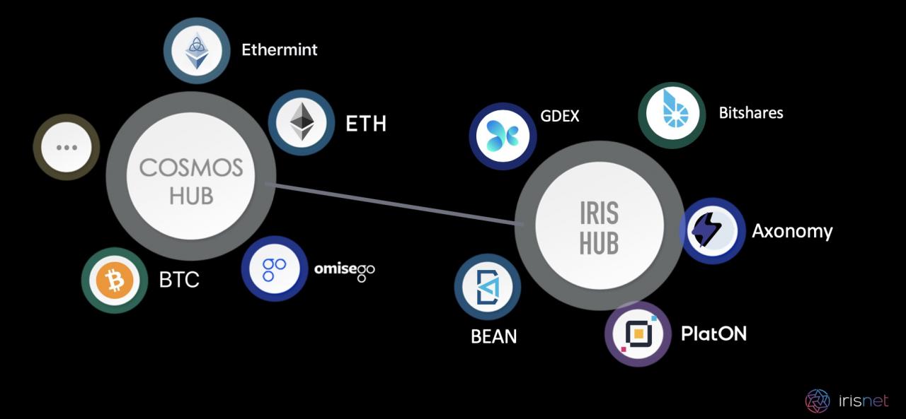 真本聪对话 IRISnet：IRIS Hub 多资产模块即将上线，跨链会迎来爆发期吗？