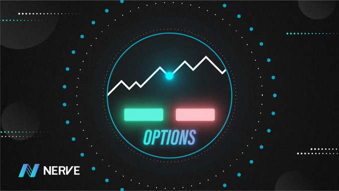 NVT_OPTION_05期权凭证介绍