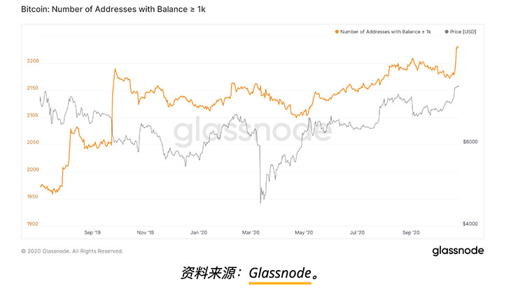 比特币巨鲸数量在最近一次牛市期间达到历史新高